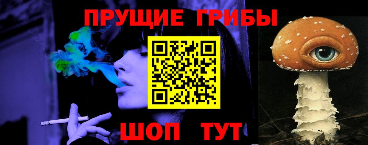 как найти   Галлюциногенные грибы Psilocybe  Вход с VPN  Новотроицк 